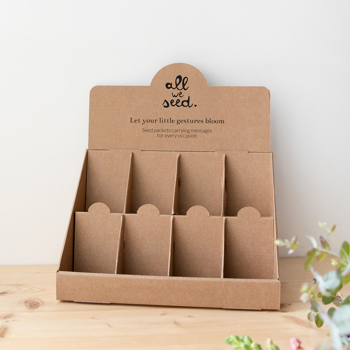 Seed packet display rack